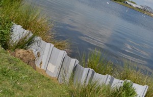 Liniar Flat pile next to a lake installed at a sustainability event