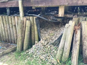 Rotting timber piling in a garden, under a deck