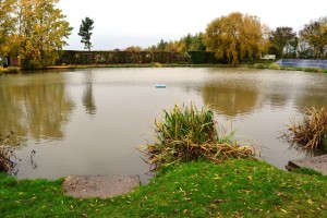 On of three lakes at Hillview Lakes