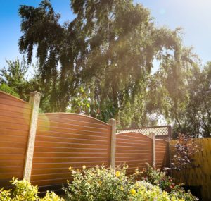 Sunlight shining down on the renovated garden with Golden Oak fencing panels