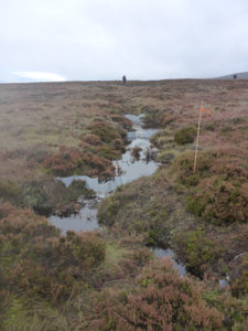 Image of dams formed using Liniar's plastic piling on the Derbyshrie moors